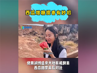 西瓜增糖提香有妙招，使用潤(rùn)博盛親大地有機(jī)酵素，西瓜甜度前后對(duì)比